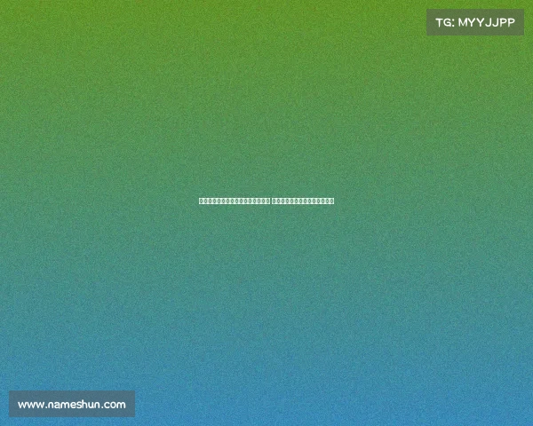 网球比赛协办单位助力赛事成功举办 推动体育发展与品牌合作新机遇